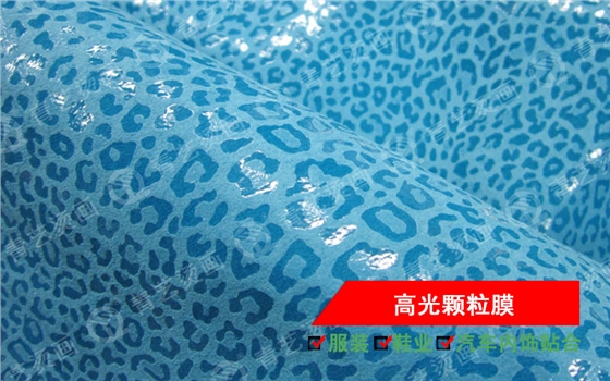 高光颗粒膜