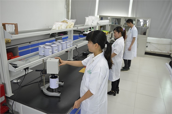 离型胶片